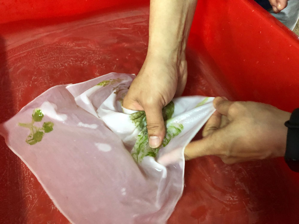 花草槌染拓印藝術 | 學習型組織完形計畫 | 企業學思達演練